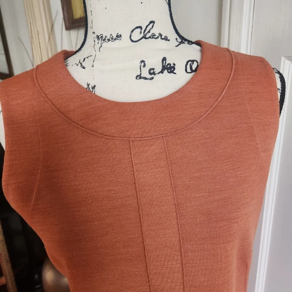 Buchanan and Kang Burnt Orange Sleeveless Sheath Dress Sz 6 NWOT - Picture 3 of 9